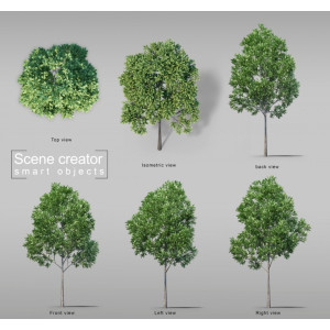 فایل لایه باز مجموعه 6 عددی درخت های مختلف سبک سه بعدی